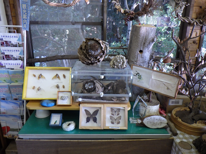 なぎさの森 園内マップ