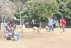 しおさいドッグラン