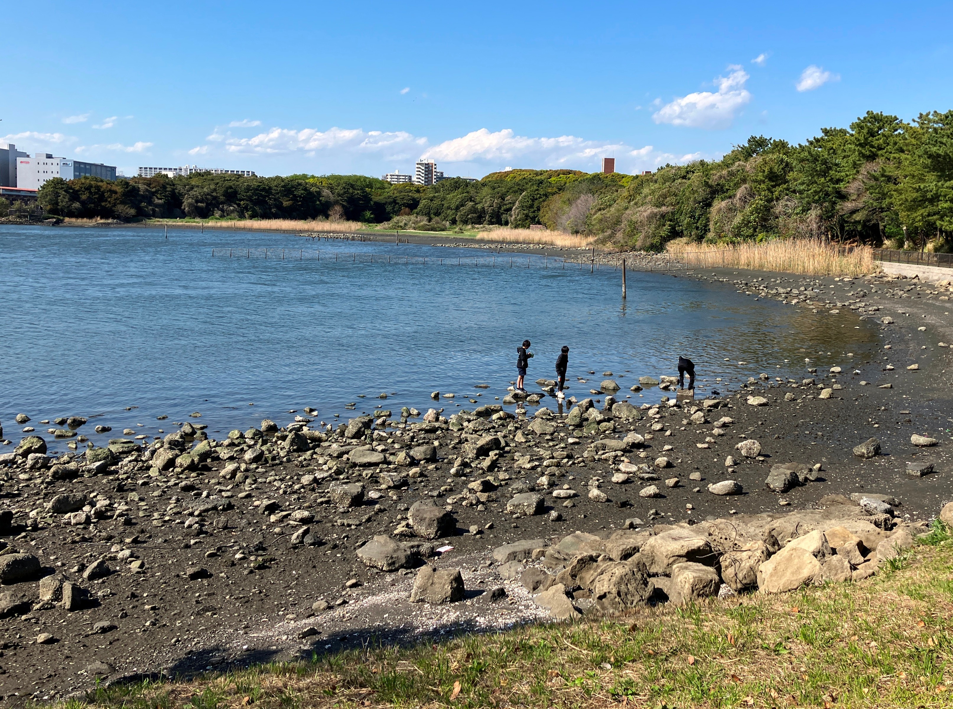 大井ふ頭中央海浜公園（スポーツの森/なぎさの森）