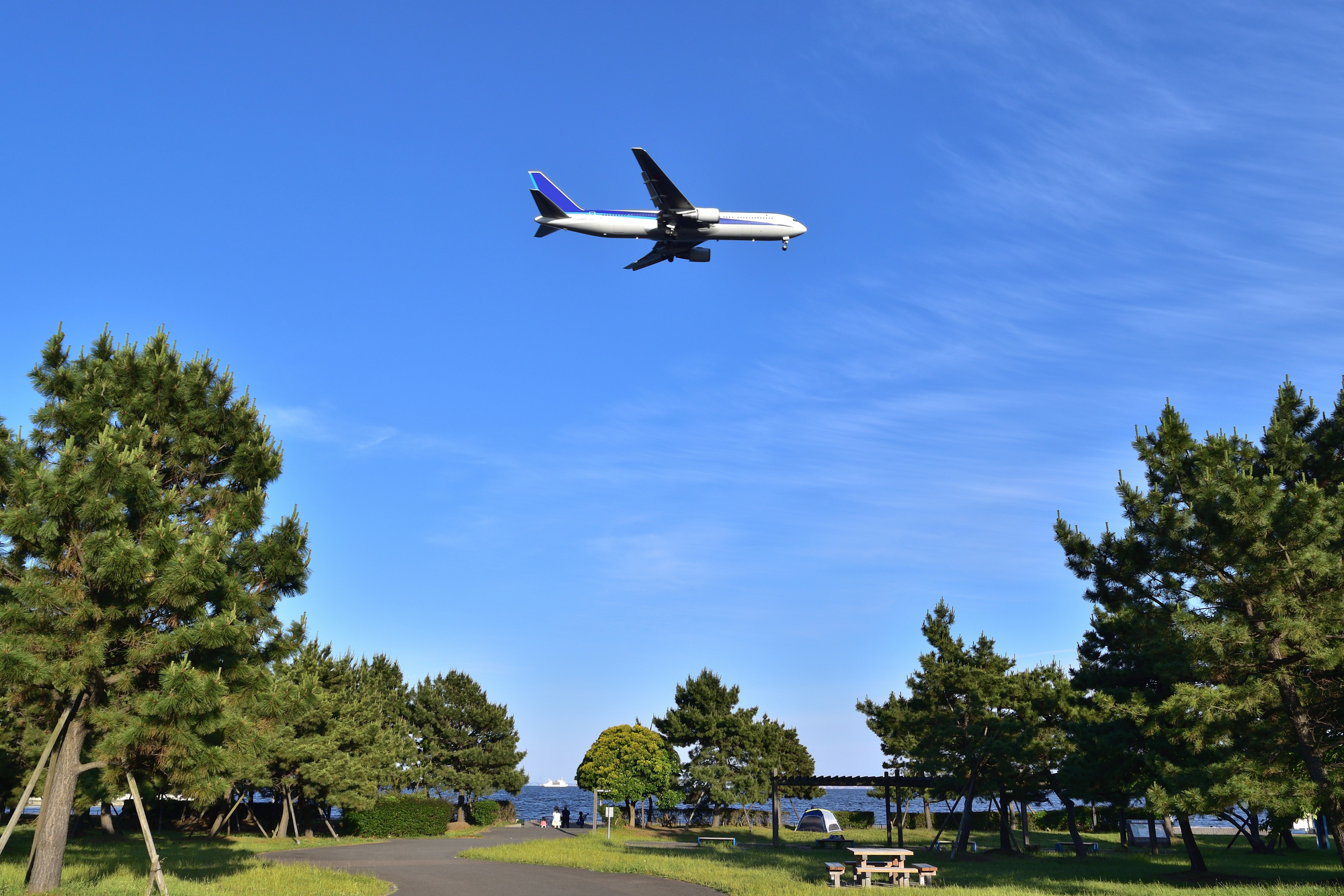 城南島海浜公園 第一キャンプ場と飛行機
