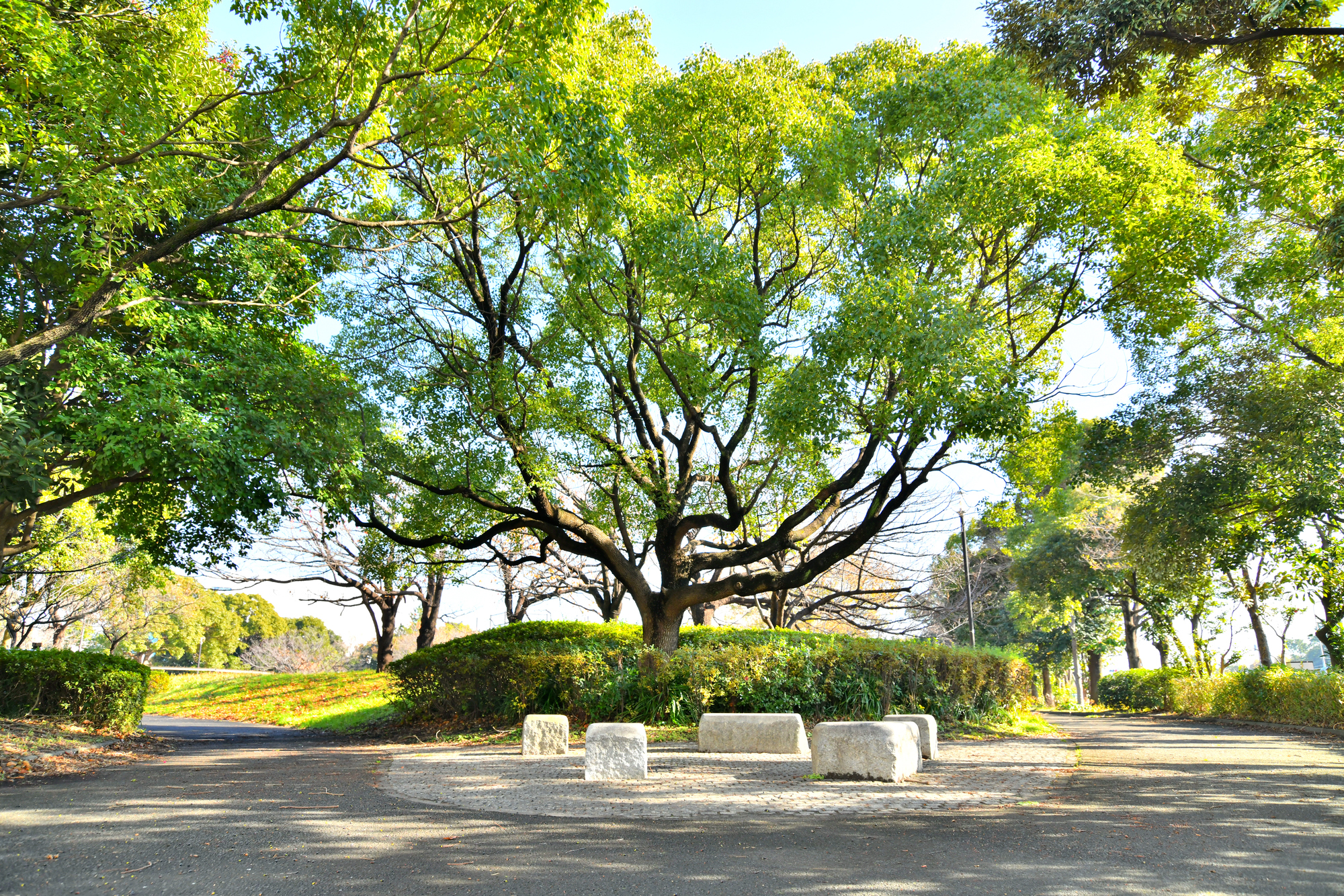 城南島ふ頭公園の風景