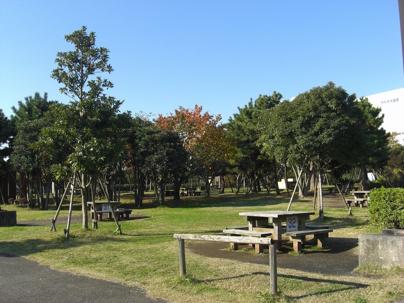 キャンプ場宿泊/日帰り