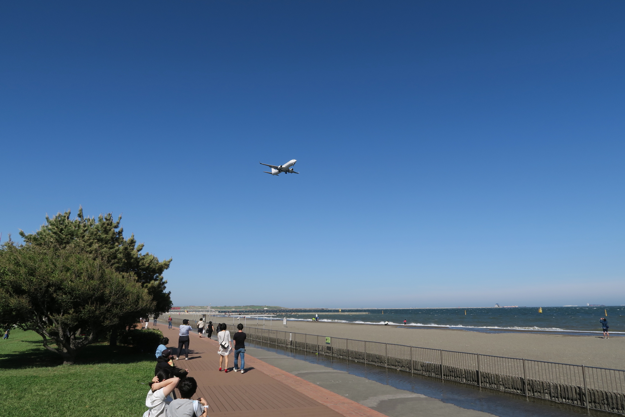 つばさ浜の風景