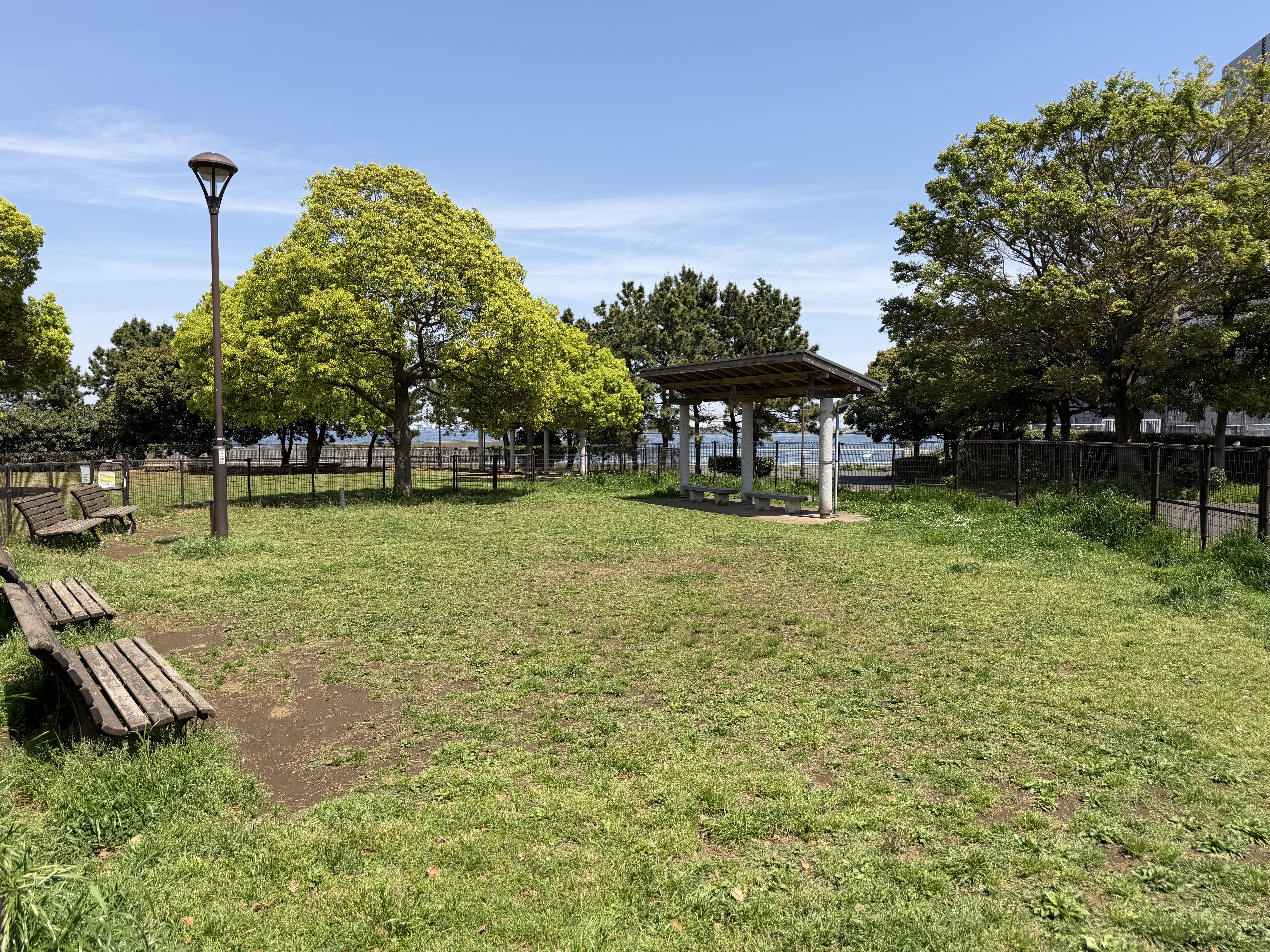 つばさドッグランの全景
