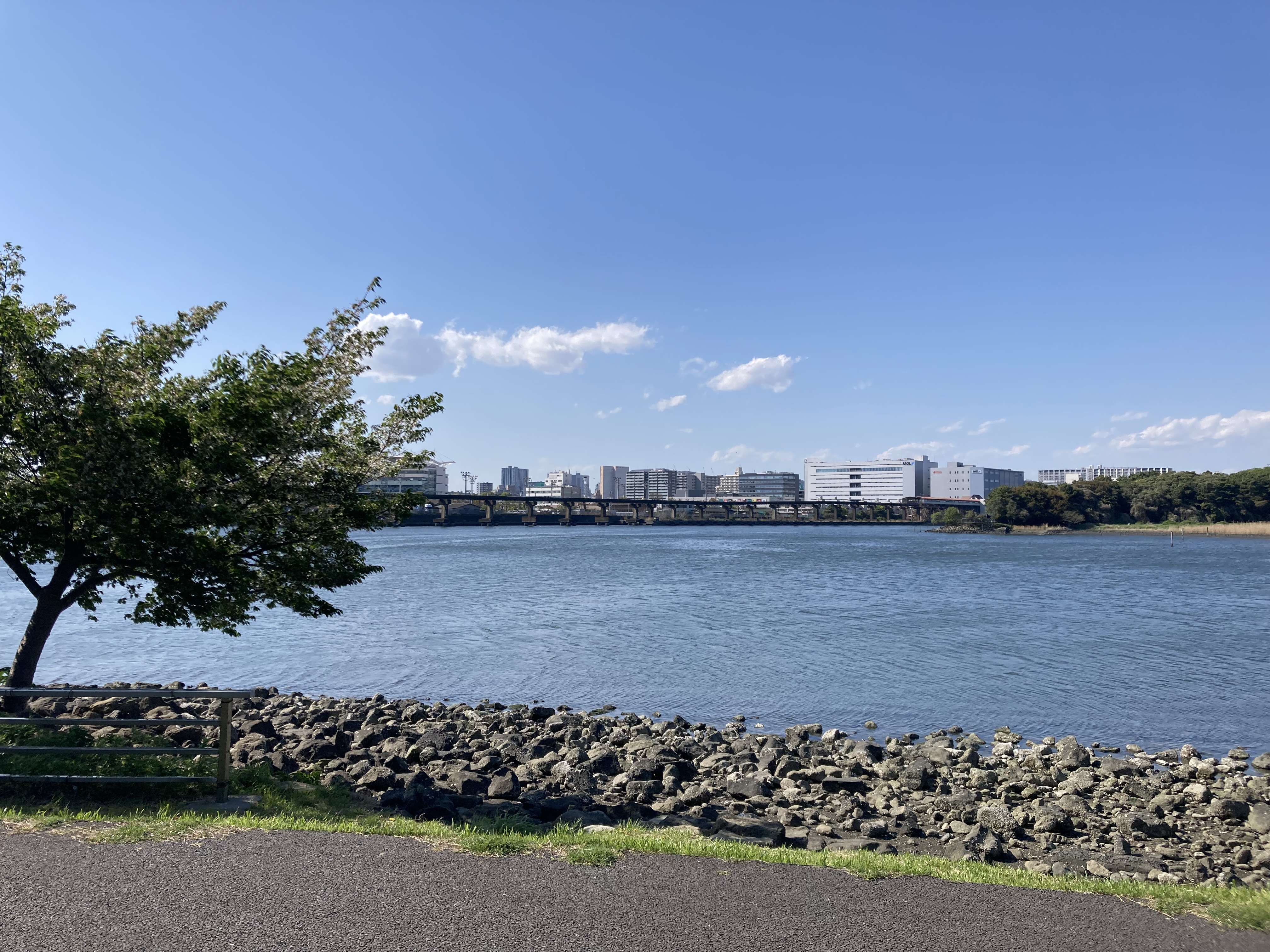 みどりが浜周辺の風景