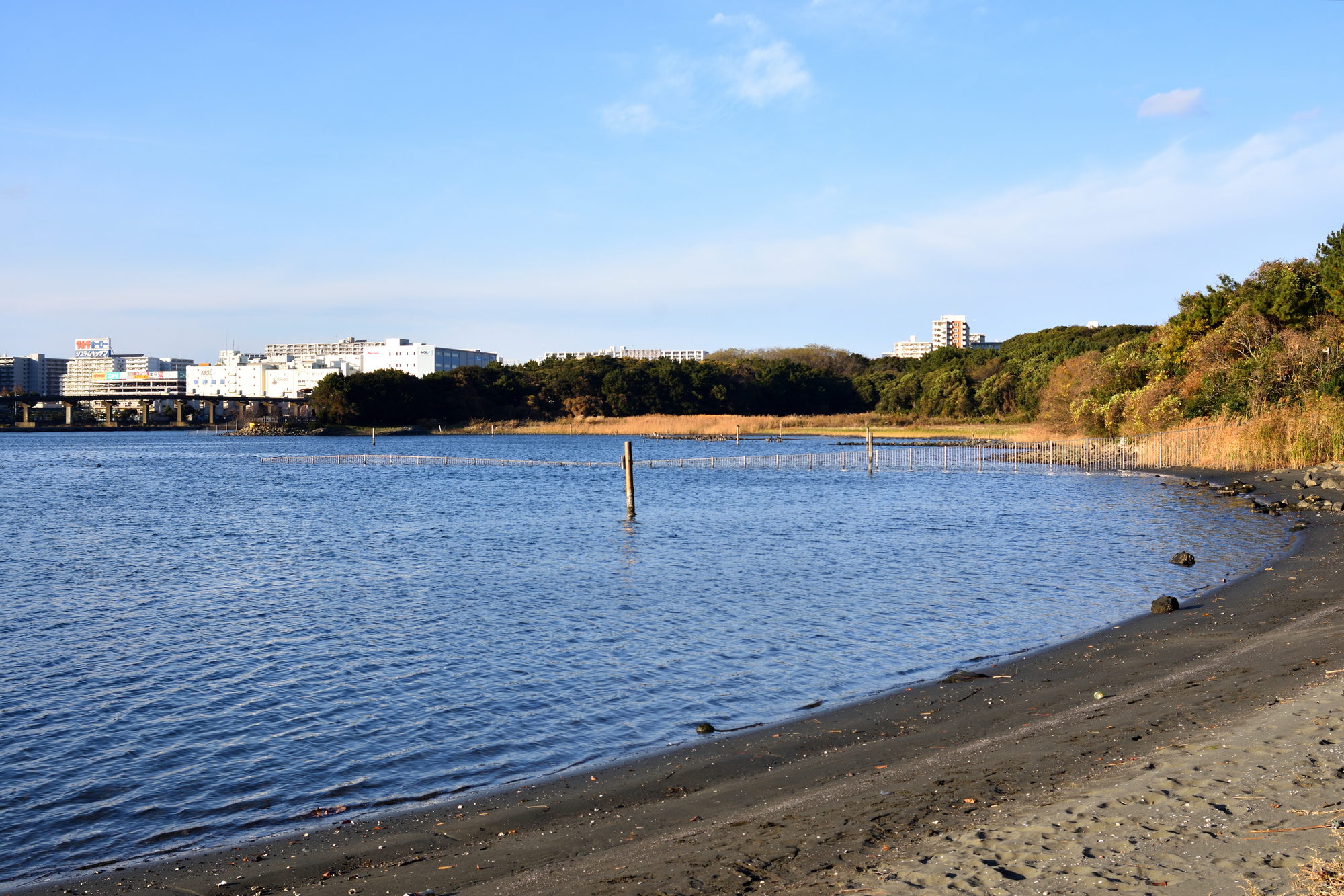 なぎさ・磯・浜の風景