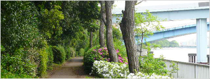 京浜運河緑道公園