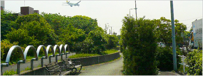 城南島緑道公園