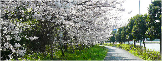 京浜島緑道公園