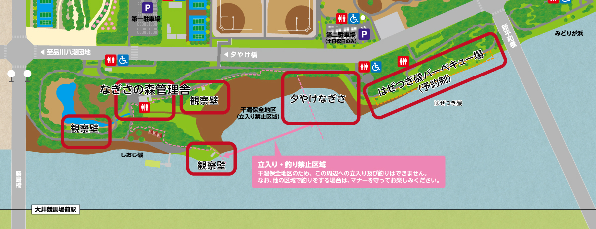 大井ふ頭中央海浜公園 なぎさの森 公園マップ
