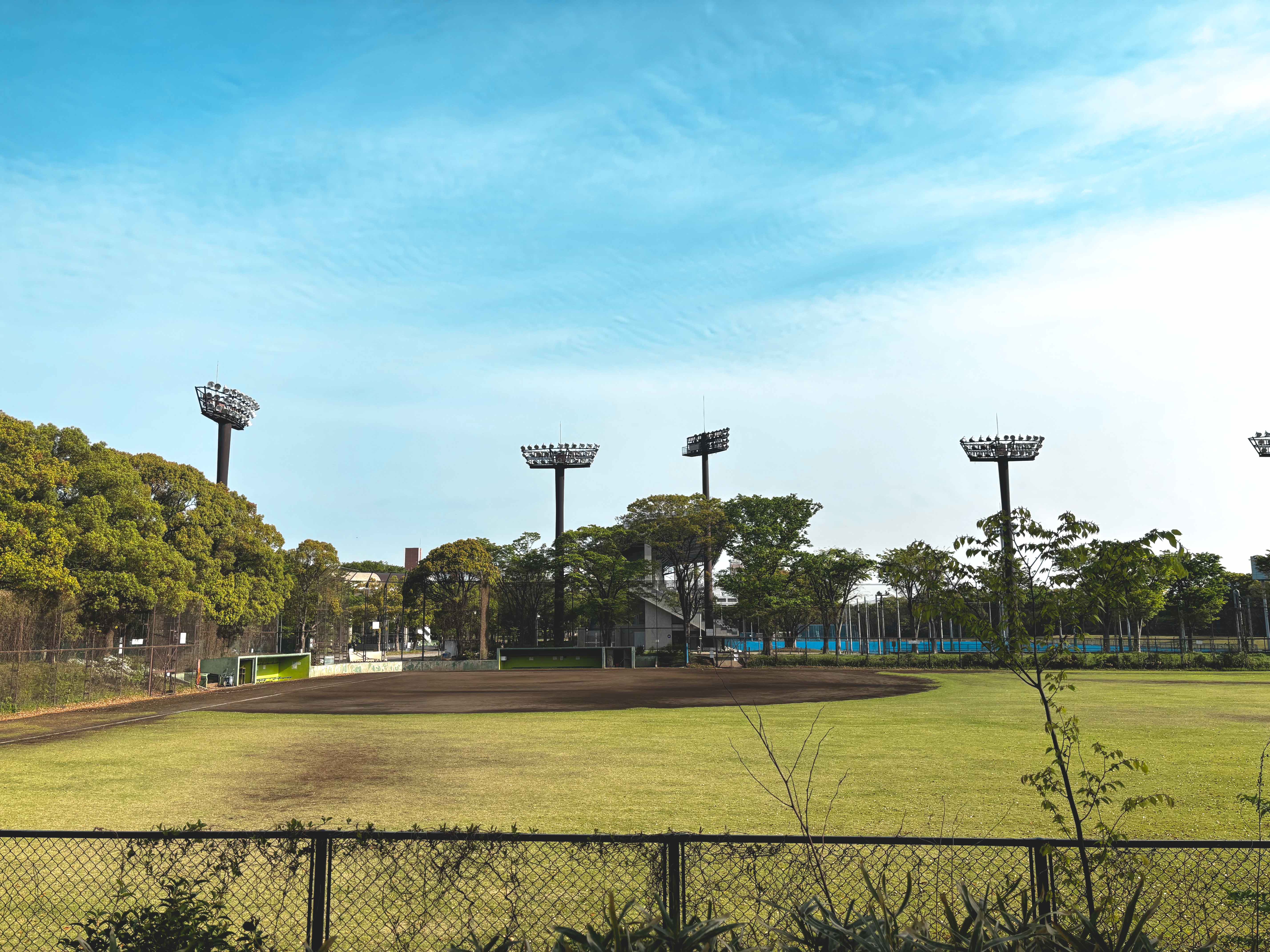 野球場 全景