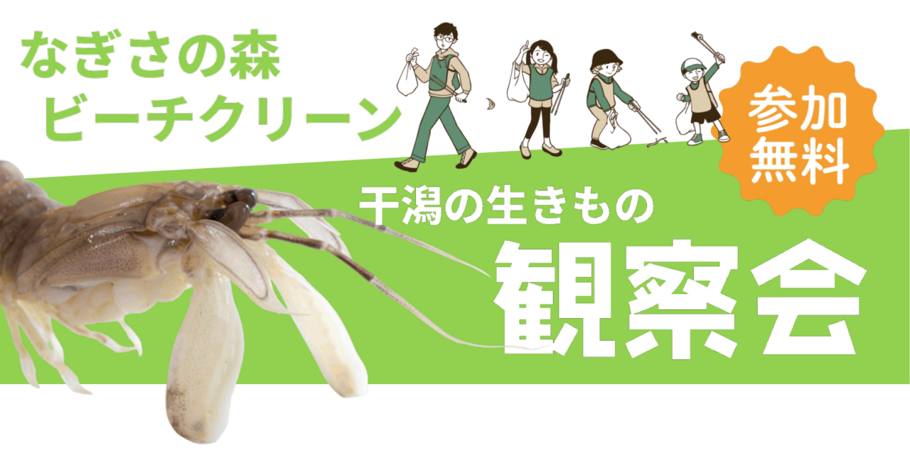 なぎさの森 ビーチクリーン 5月17日