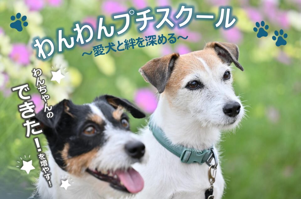 わんわんプチスクール